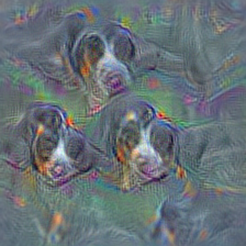 n02107312 miniature pinscher